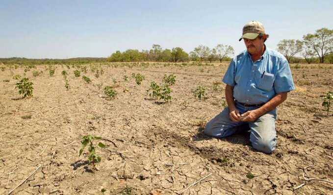 campo, sequía, parcela